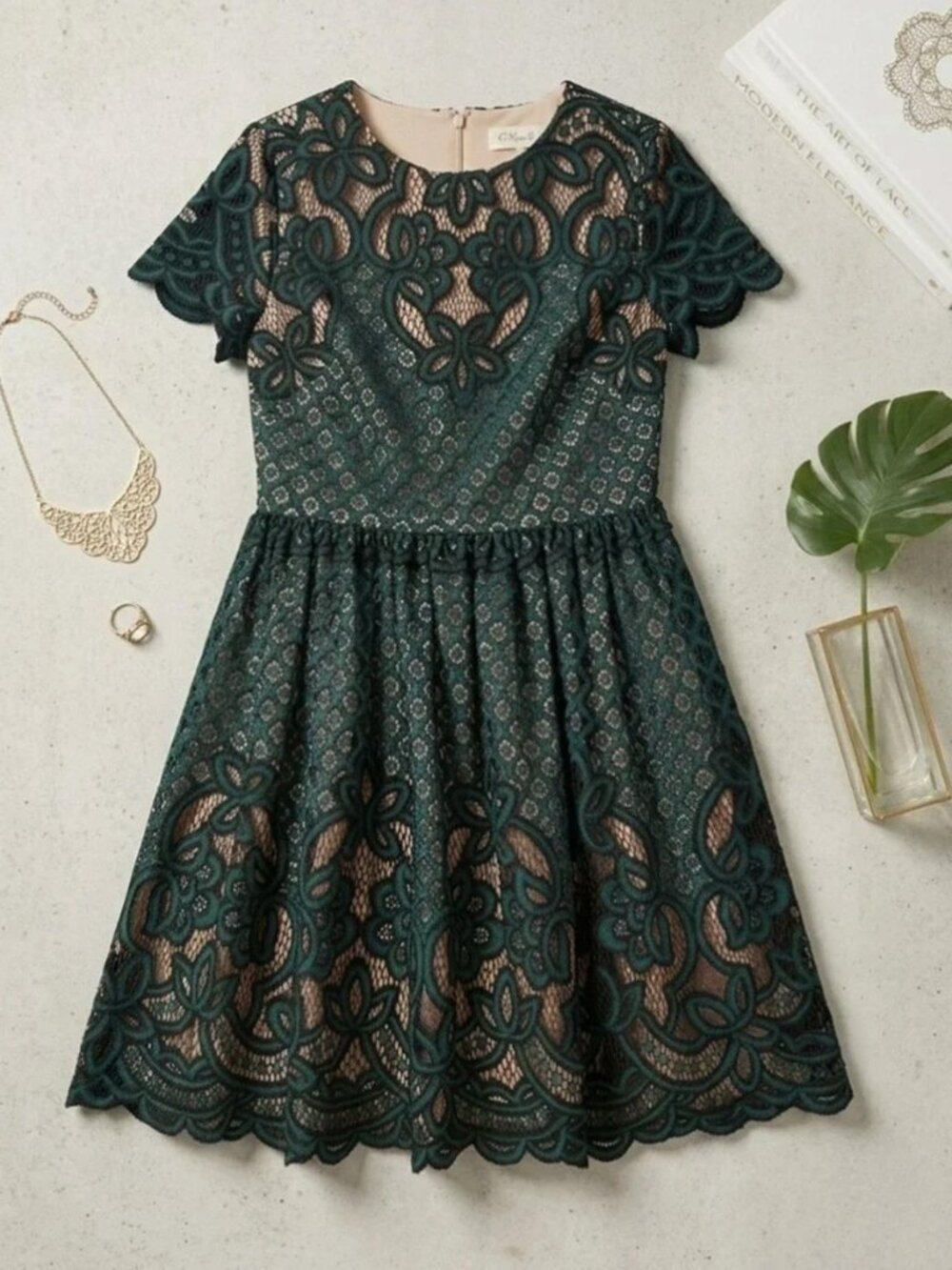 Eliza J Lace Overlay illusion Dress Size 12P Green Nude Holiday Party Romantic